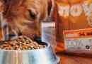 Sada svježa hrana za pse - prednosti i kontra