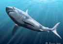 Meghalodon: akula čudovište postoji! Nema davno ..