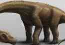 Na području argentine pronašao je novu vrstu dinosaura