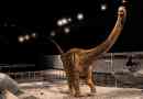 Znanstvenici su pronašli ostatke najdužeg dinosaura