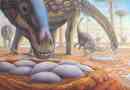 Znanstvenici su odredili tjelesnu temperaturu dinosaura: pomogla je ljuska jaja