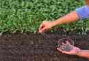 Poboljšanje plodnosti tla