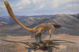 10 Činjenica o denonich strašan cogte