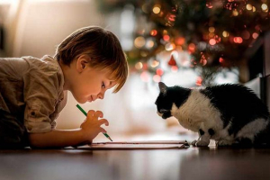 10 Najuspješnijih i prijateljskih mačaka 10 Najuspješnijih i prijateljskih mačaka