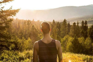 5 Zanimanja za ljubitelje divljih životinja 5 Zanimanja za ljubitelje divljih životinja