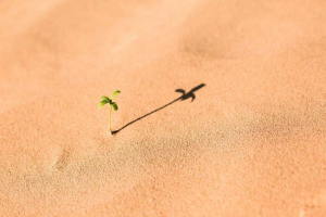 Prilagodba organizme u promijenjenom okruženju staništa Prilagodba organizme u promijenjenom okruženju staništa