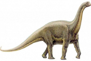 Alamosauru Alamosauru