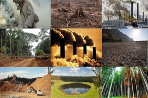 Antropogeni čimbenici Antropogeni čimbenici