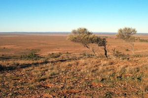 Arid i vlažna klima Arid i vlažna klima