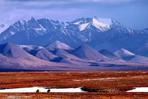 Arktičke pustinje sjeverne amerike