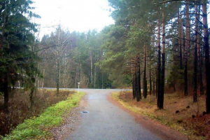 Berezinsky reserve: bjeloruska priroda u cijeloj slavi