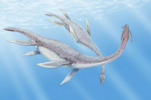 Biolozi su saznali kako plivati plasiosauurs Biolozi su saznali kako plivati plasiosauurs