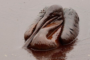 Okruženje biološkog onečišćenja Okruženje biološkog onečišćenja