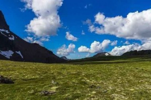 Biom tunddra - najhladniji biome svijeta Biom tunddra - najhladniji biome svijeta