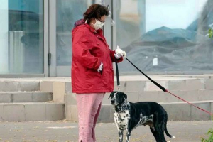 Da li su psi bolesni s coronavirusom i mogu ga proći?