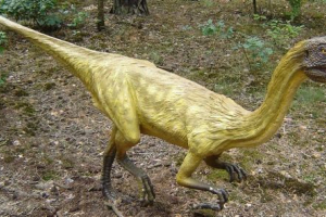 Kelfis baura Kelfis baura