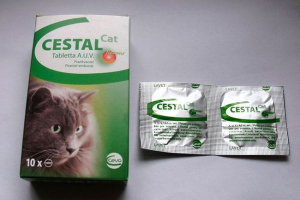 Zarobljeni za mačke - kada se primjenjuje? Zarobljeni za mačke - kada se primjenjuje?