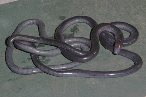 Verrnes - odvojenost nepristojnih vodozemaca Verrnes - odvojenost nepristojnih vodozemaca