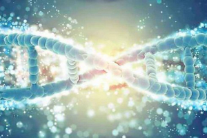 Što su geni? Koncept, sorte, mutacije i nasljednost Što su geni? Koncept, sorte, mutacije i nasljednost