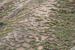 Što je solifluction? Što je solifluction?