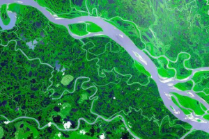 Da se u geografiji naziva riječni sustav? Definicija, primjeri i vrste Da se u geografiji naziva riječni sustav? Definicija, primjeri i vrste