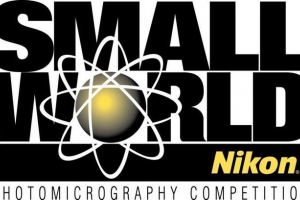 Čuda čuda: 27 fotografija - pobjednici nikon mali svijet 2015 Čuda čuda: 27 fotografija - pobjednici nikon mali svijet 2015