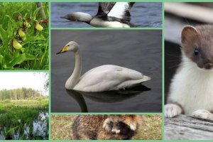 Darwin reserve - zbirka rijetkih uzoraka Darwin reserve - zbirka rijetkih uzoraka