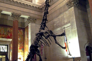 Dinosauri s dugim vratom