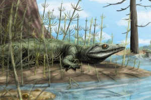 Drevni gušter ispunio je bijelu mrlju u evoluciji