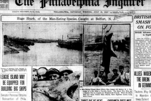 Dva tjedna - četiri smrti: početak alankameričkih morskih pasa Dva tjedna - četiri smrti: početak alankameričkih morskih pasa