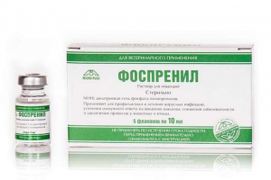 Fosspinil: imunostimulator i antivirusni lijek za mačke Fosspinil: imunostimulator i antivirusni lijek za mačke