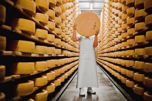 Francuzi dobiju struju od sira Francuzi dobiju struju od sira