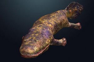 Ichtiootheg Ichtiootheg