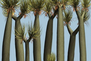 Nestanka rijetkih biljnih vrsta Nestanka rijetkih biljnih vrsta