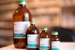 Yvermek za pse - kada je propisano? Yvermek za pse - kada je propisano?