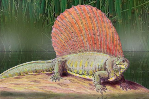 Edafozavr ili gušter u zemlji