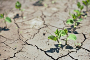 Ekološki problemi tla