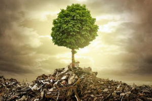 Ekološka kriza Ekološka kriza