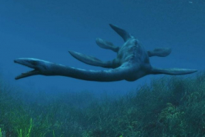 Elasmosauri - drevni morski gušteri