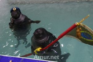 Kao irkutsk neros čestitao veteranima s pobjedničkim praznitim Kao irkutsk neros čestitao veteranima s pobjedničkim praznitim