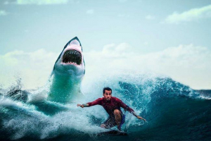 Koje vrste morskih pasa su najopasniji za osobu - popis, fotografiju i opis Koje vrste morskih pasa su najopasniji za osobu - popis, fotografiju i opis