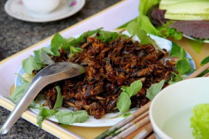 Koji kukci jedu ljude?