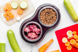 Koja je hrana najprikladnija za pse Koja je hrana najprikladnija za pse