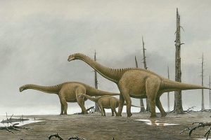 Kamarazavr Kamarazavr