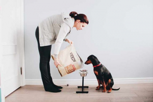 Klasifikacija hrane za pse Klasifikacija hrane za pse