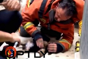 Kolumbijska policija spasila je psa koji je pao u olujni potok Kolumbijska policija spasila je psa koji je pao u olujni potok