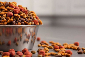 Kabel za škotske mačiće Kabel za škotske mačiće