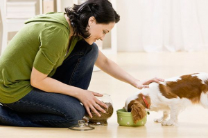 Kriteriji pri odabiru hrane za pse Kriteriji pri odabiru hrane za pse