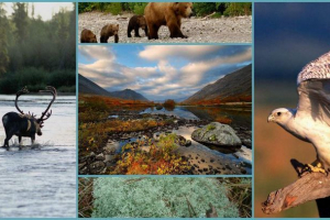 Rezerva u laponije: sjajni glečer Rezerva u laponije: sjajni glečer