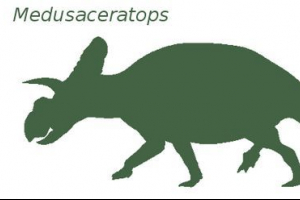 Medustaceratops Medustaceratops